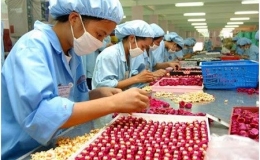 Doanh nghiệp nợ bảo hiểm trên 10.000 tỷ đồng